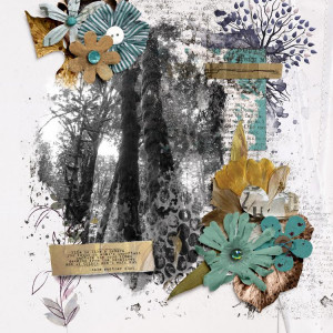 Roots