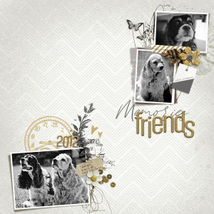 Friends
