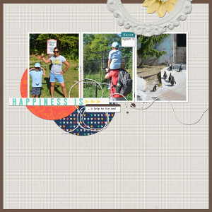 DSD-speed-scrap-Sun-2pm