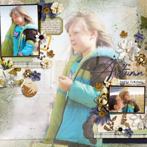 20121007 Autumn