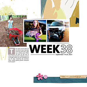 Week 38 {left}