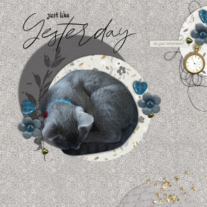 200915_cat Nap