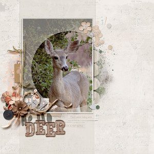 Hello Deer