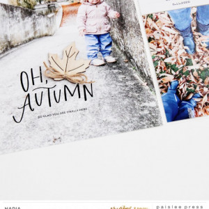 Paislee-FALL MAGIC NO. 3-project2byNADIA