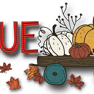 Fall Siggie