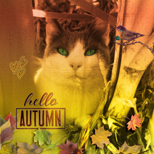 Hello Autumn