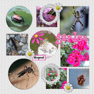 2108 August Garden