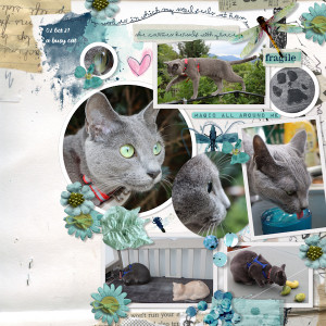 211002_cat Busy