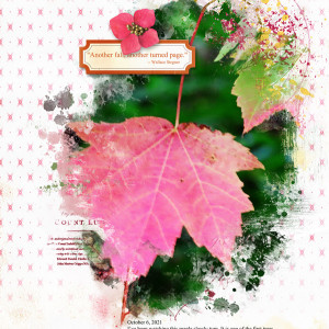 Lynn-Grieveson_2021-10_October_New_1008_Fall-in-a-Mess_web