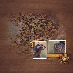 Autumn