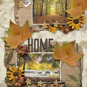 Home