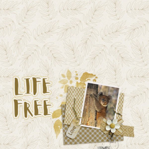 Life Free