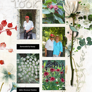 Stop-and-Look_flowersgal_web