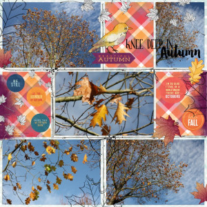 Inspiration Challenge October 2021