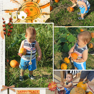 Pumpkin-Patch_flowersgal_web