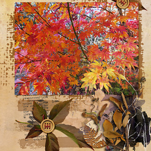 Oct2021_RJefferies-Chall_flowersgal_web