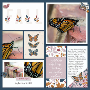 2021-Sept-Monarch