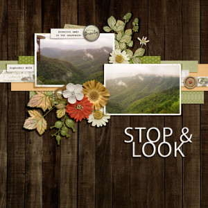 Slow Scrap | October 19, 2021