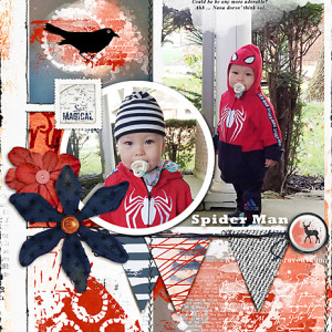 Spider-Man_flowersgal_webjpg