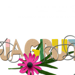 Siggy-HB
