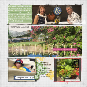 Pocket Pages July 2021