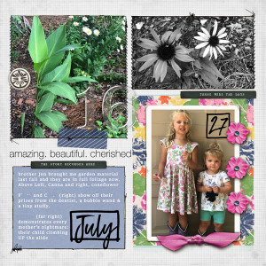 Pocket pages July