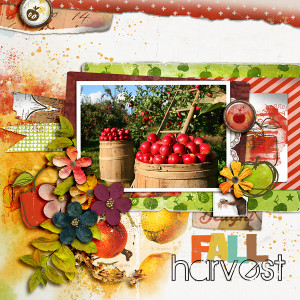 SOSN_10-27_LG_Fall Harvest