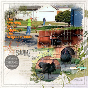 2021-Turkeys