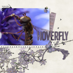 211019_hoverfly