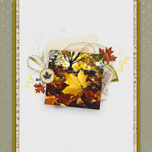 November