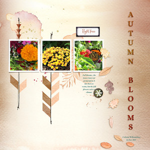 Autumn Blooms