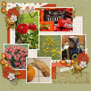 TLP_October