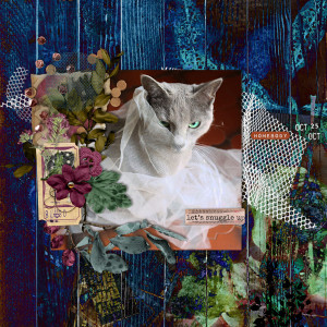 211025_cat Tulle
