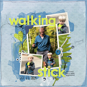 Walking Stick