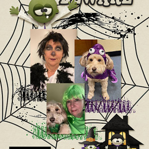 Oct27_SlowScrap_flowersgal_web