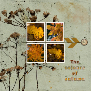 The colours of autumn