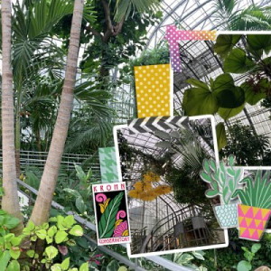 Krohn Conservatory in Cincinnati