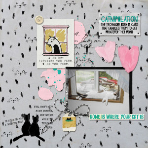 Crazy-Cat-Lady