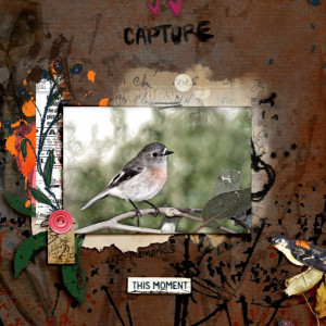 Capture