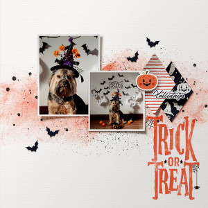 trick or treat