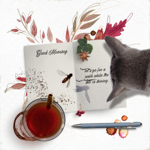 211019_cat Morning