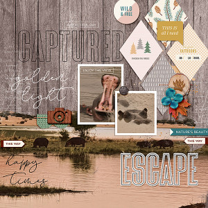 Escape