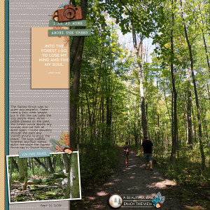 2019 Sacred Grove