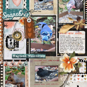 Little-Butterfly-Wings_2021-11_November_BYOC_1105_Memory-Lane_web