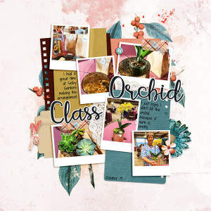 Orchid Class