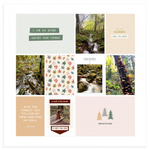 Forest Tales