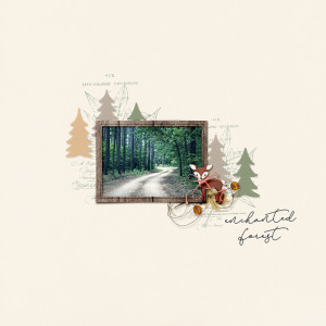Enchanted Forest