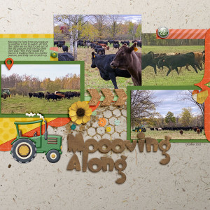 Moooving Along