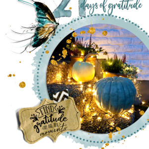 21 days of gratitude