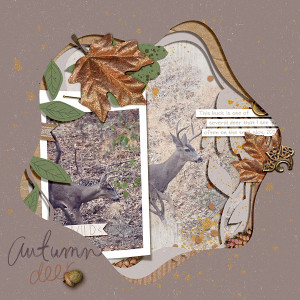 Autumn Deer